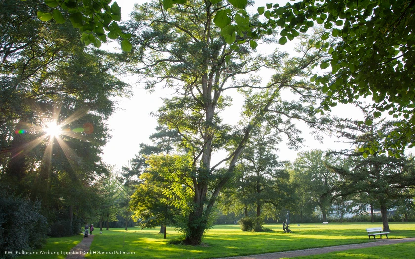 Bad Waldliesborn Kurpark