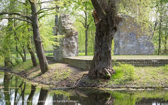 Burgruine Lipperode