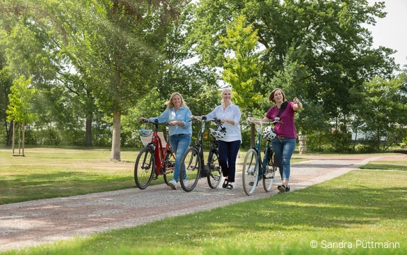 Fahrräder Eulenpark ©Sandra Püttmann.jpg