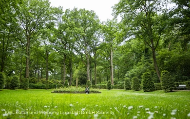 Kurpark Bad Waldliesborn