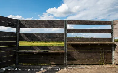 Lippeauen_Hellinghauser_Mersch_Beobachtungspunkt_Hellinghäuser_Weg_4407.jpg