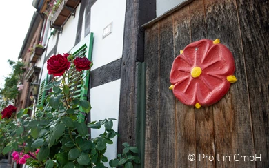 Lipperose an Hauswand