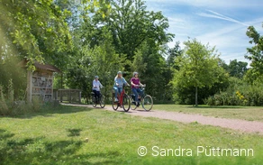 Fahrräder Eulenpark © Sandra Püttmann.jpg