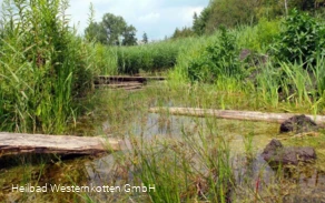 Naturschutz- & Naherholungsgebiet Muckenbruch Moorentnehme Naturschutz- & Naherholungsgebiet Muckenbruch Moorentnehme