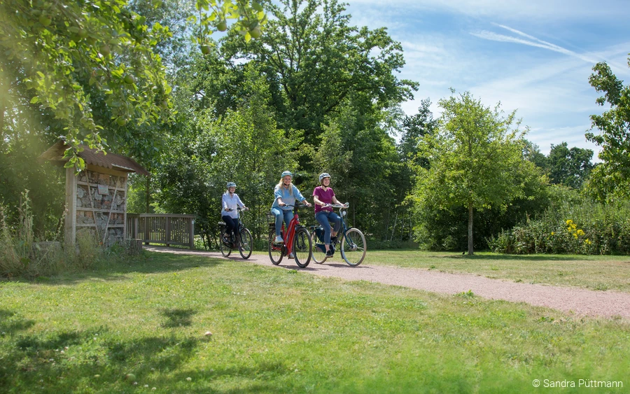 Fahrräder Eulenpark © Sandra Püttmann.jpg Fahrräder Eulenpark © Sandra Püttmann.jpg