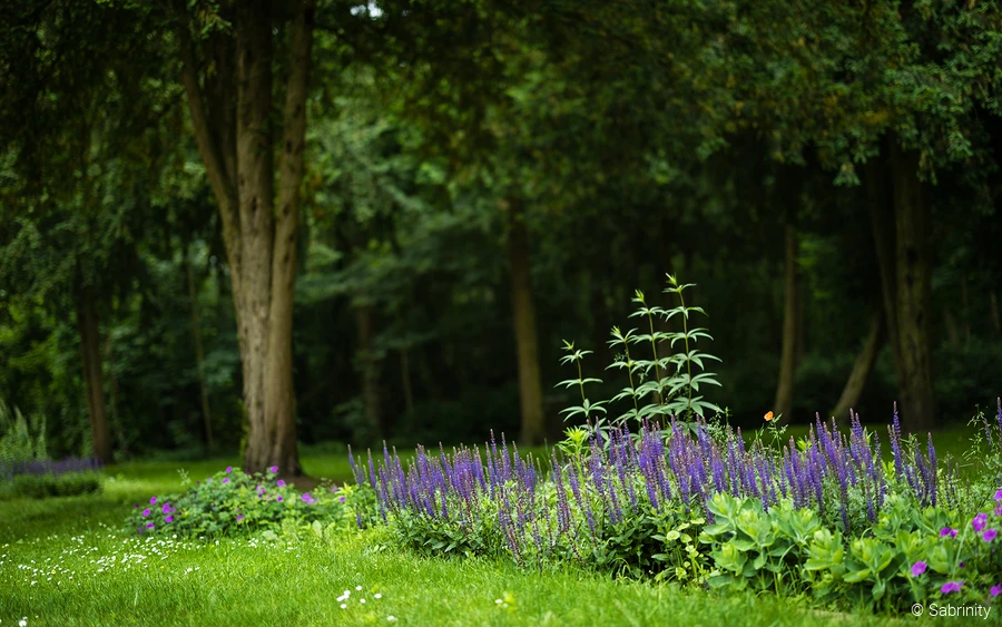 Kurpark