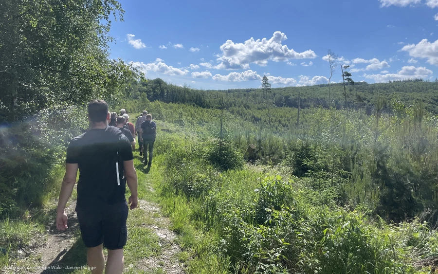 Naturparkführung Arnsberger Wald