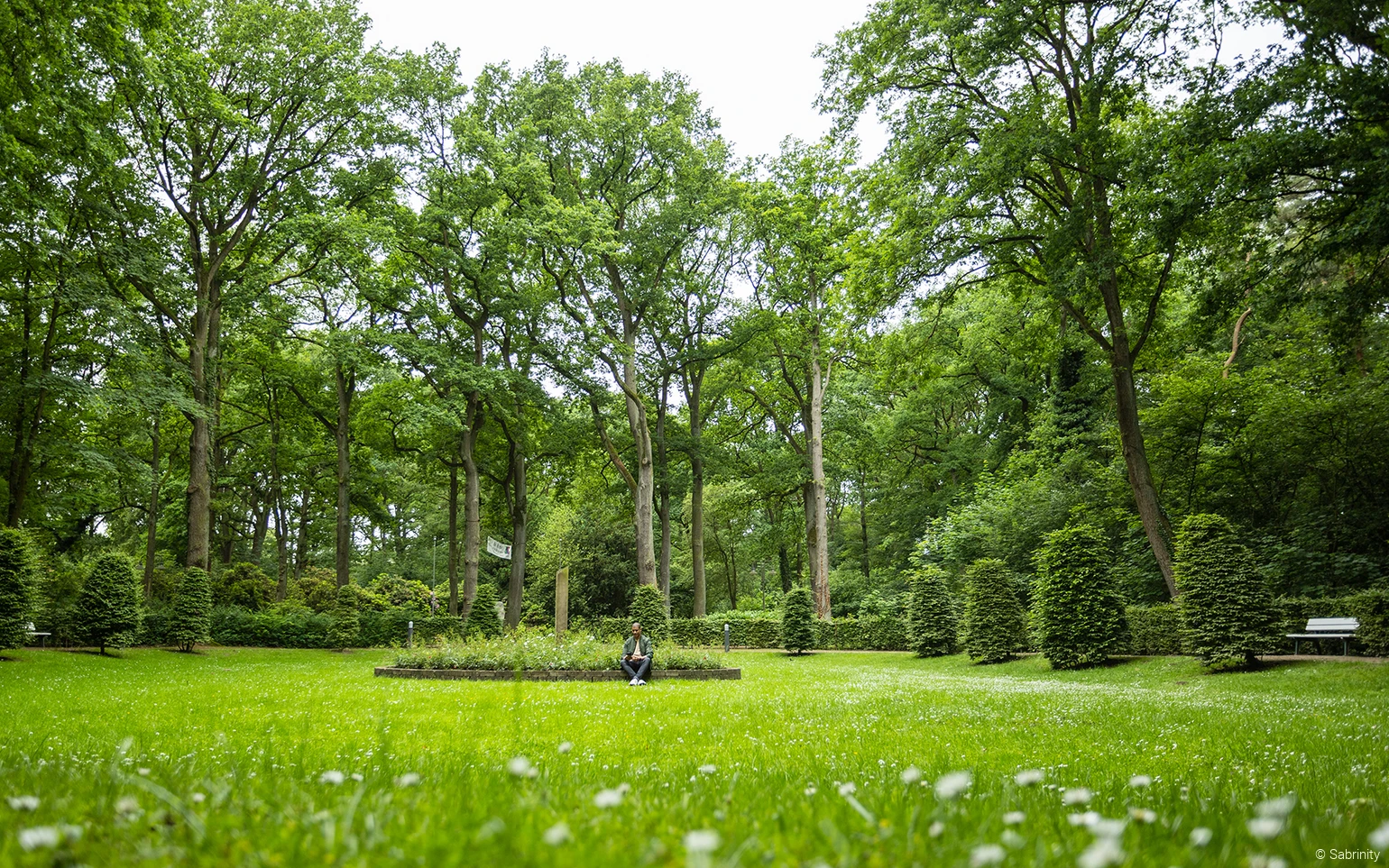 Kurpark in Bad Waldliesborn