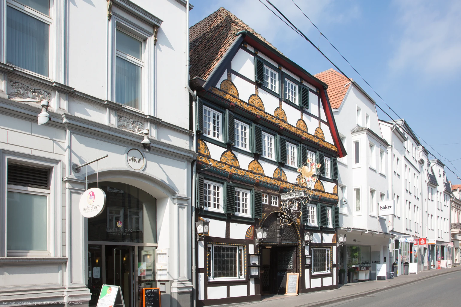 Goldener Hahn Goldener Hahn