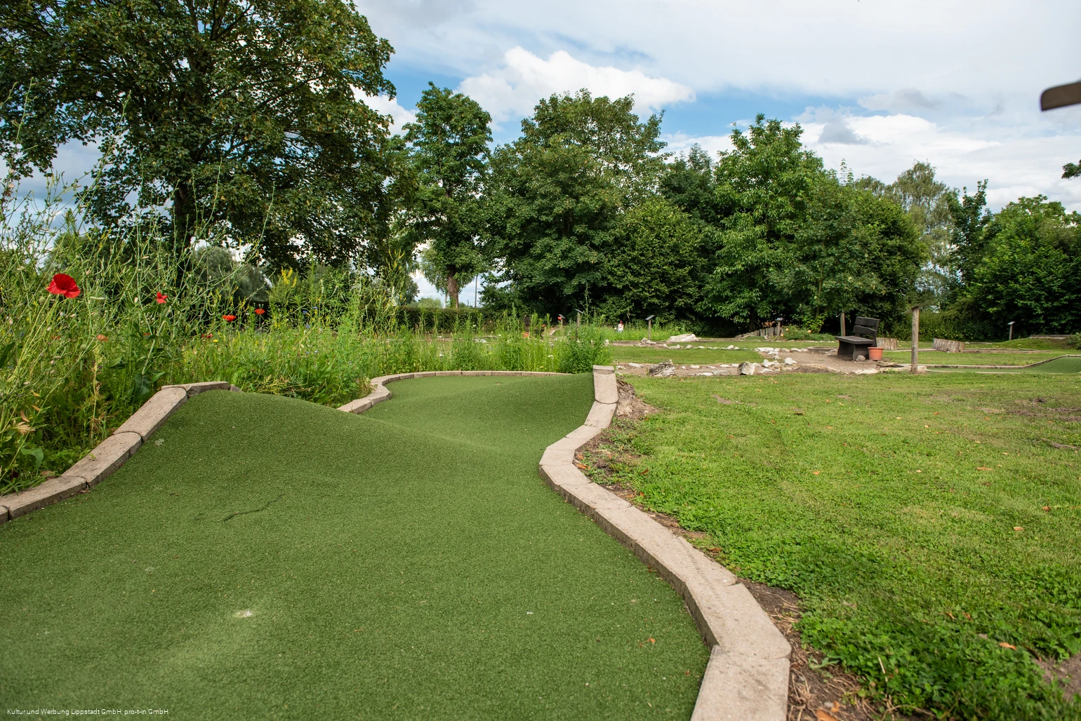 Minigolf Loesmann auf der Heide (c) KWL Kultur und Werbung Lippstadt GmbH Pro-t-in GmbH (1).jpg